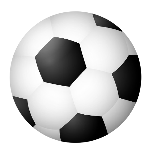 Sport Icon